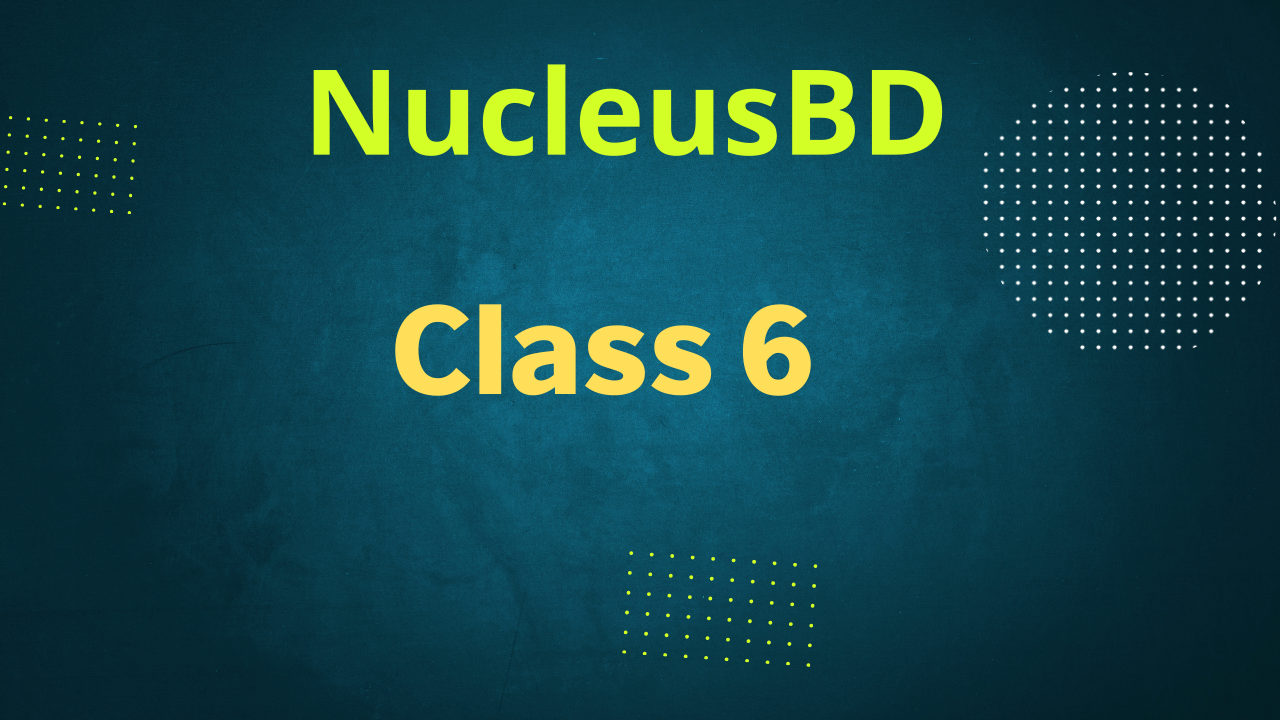 Class 6th All Subjects